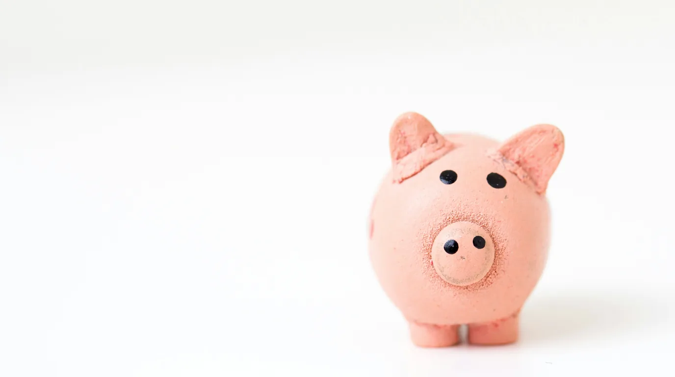 A pale pink ceramic piggy bank standing alone on white.