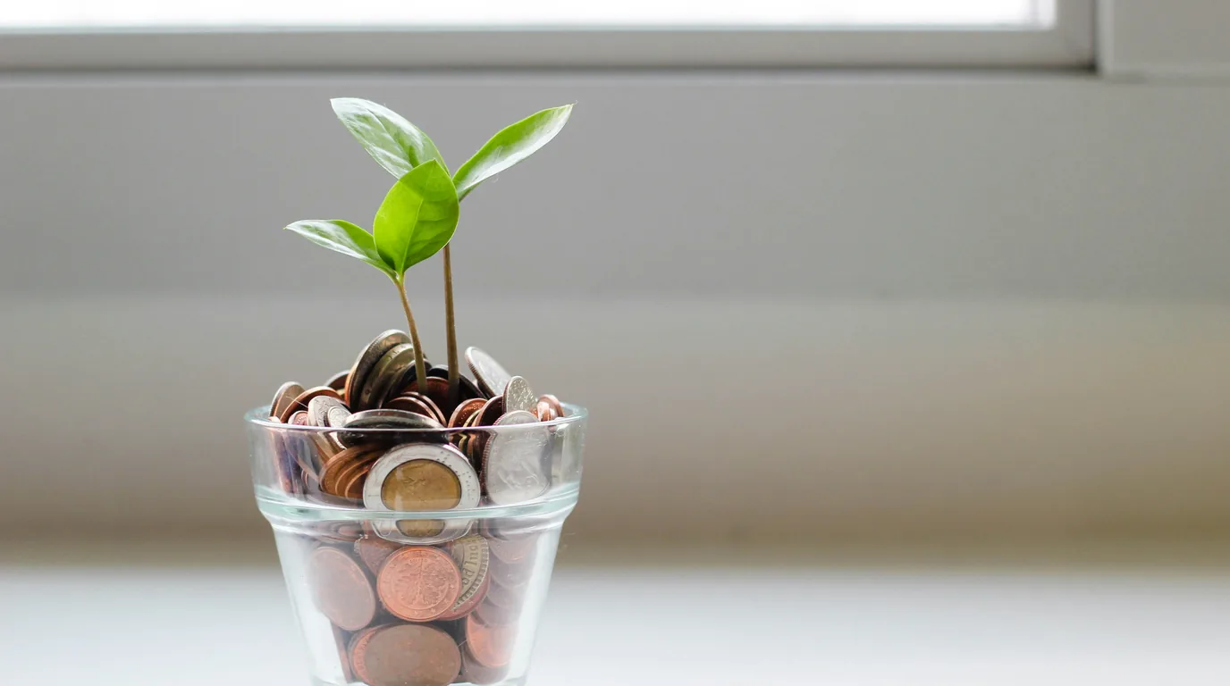 A seedling growing out of a glass tumbler filled with mixed coins.